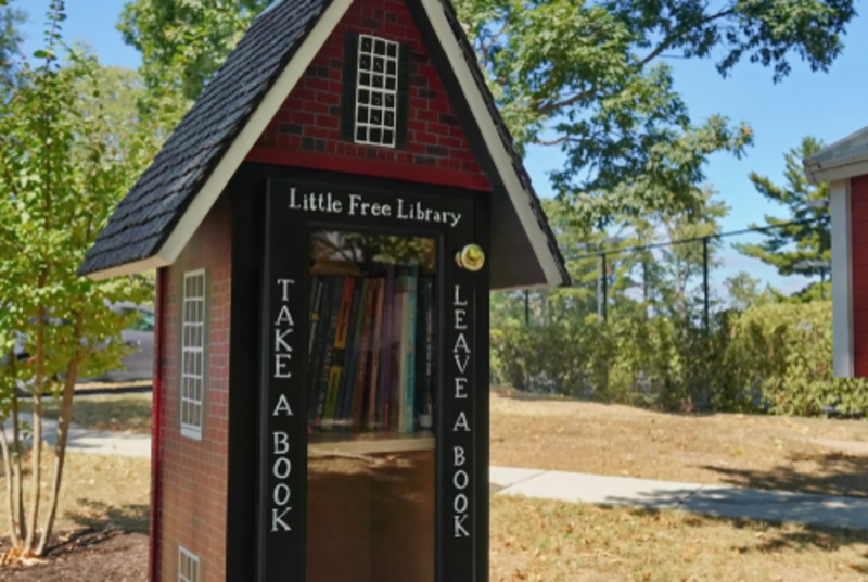 How Did the Little Free Library Movement Start? | Shutterstock