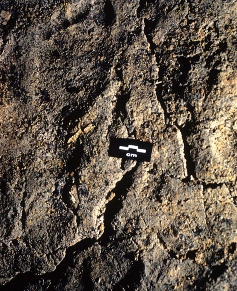 The Oldest Footprint | Alamy Stock Photo