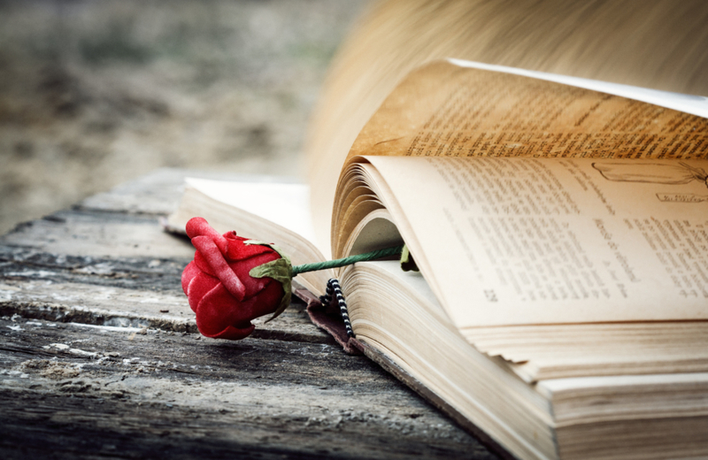 Get Loved Up With 5 of These Beautiful Romance Novels | Shutterstock