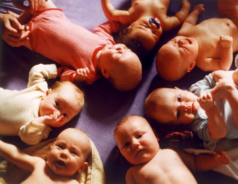 Les bébés sont nés ! | Alamy Stock Photo by JOKER/Süddeutsche Zeitung Photo