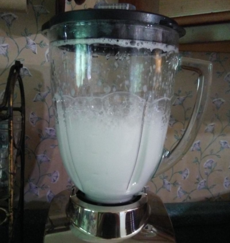 Mettez le liquide vaisselle dans votre mixeur | Imgur.com/T7cQb2m