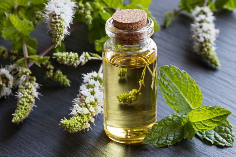 Nettoyez avec des huiles essentielles | Shutterstock Photo by Madeleine Steinbach