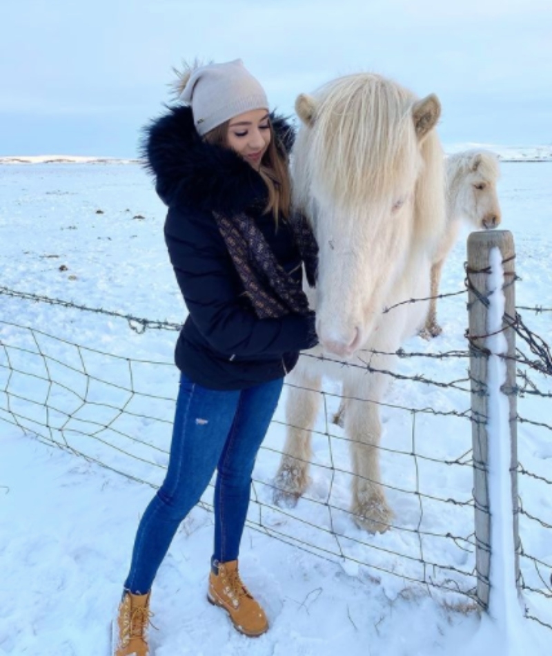 Le cheval islandais | Instagram/@weronika.bryk