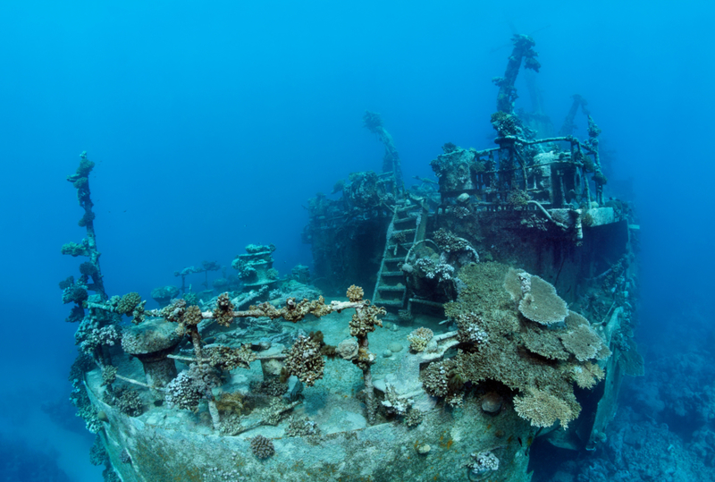 Russian Shipwreck in The Red Sea | Alamy Stock Photo by Norbert Probst/imageBROKER.com GmbH & Co. KG 
