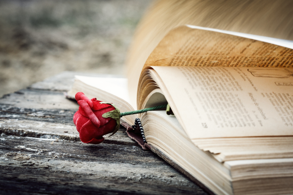Get Loved Up With 5 of These Beautiful Romance Novels