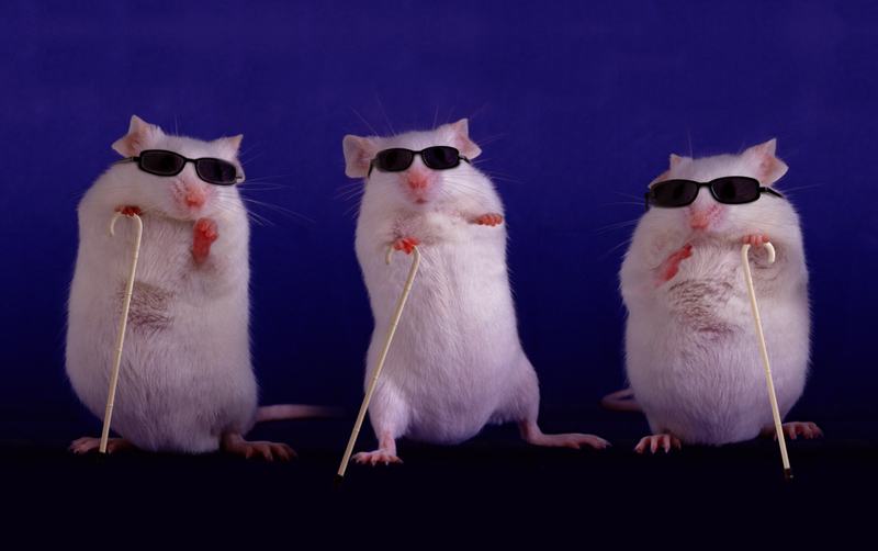 Three Blind Mice | Getty Images Photo by Fuse