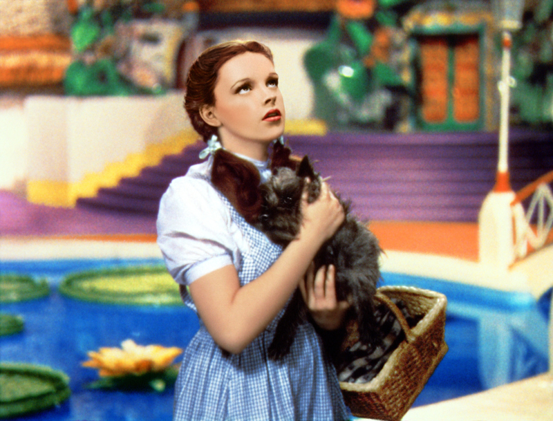 The Wizard of Oz | Alamy Stock Photo