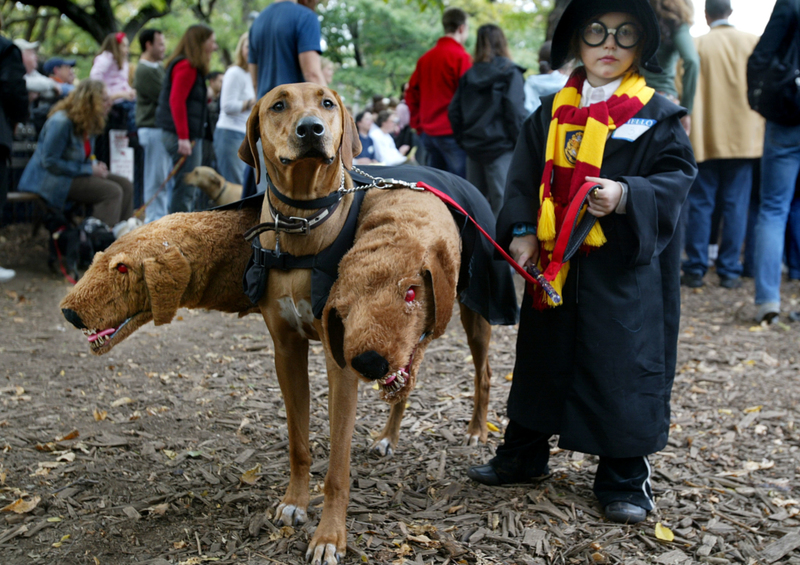 Harry Potter and Fluffy | Getty Images Photo by Mario Tama