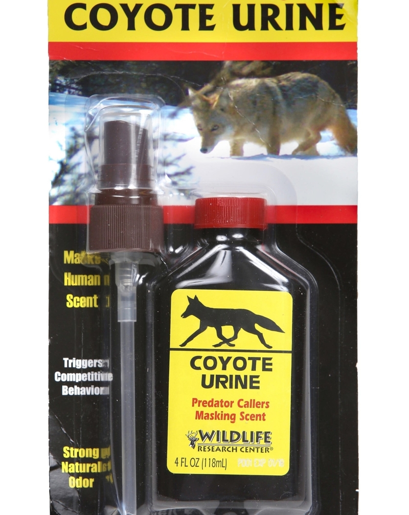 Coyote Urine | Alamy Stock Photo