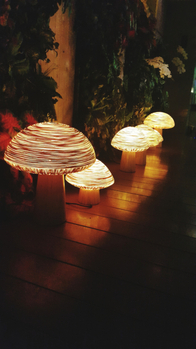 Mushroom Lamp | Getty Images photo by Meila Kartadihardja/EyeEm
