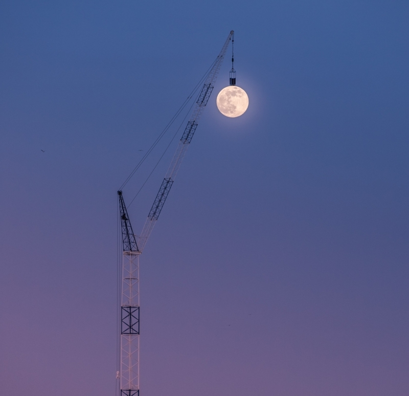 Moon Hangs Ten | Shutterstock