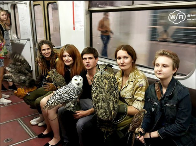 Taking the Subway Must Be a Real Hoot | Reddit.com/Loftz0r