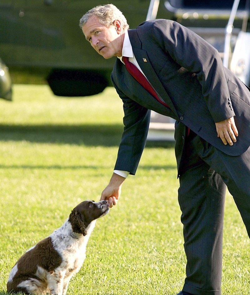 The Presidential Pet | Getty Images Photo by STEPHEN JAFFE/AFP