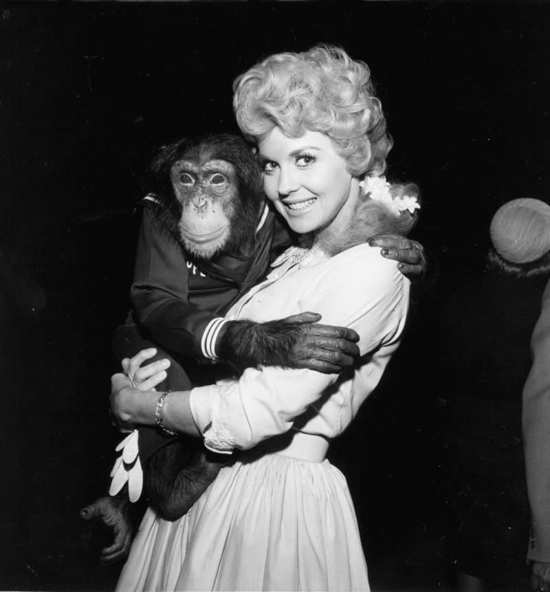 Donna Douglas as ‘Elly May Clampett’ – The Beverly Hillbillies, 1962 | Alamy Stock Photo
