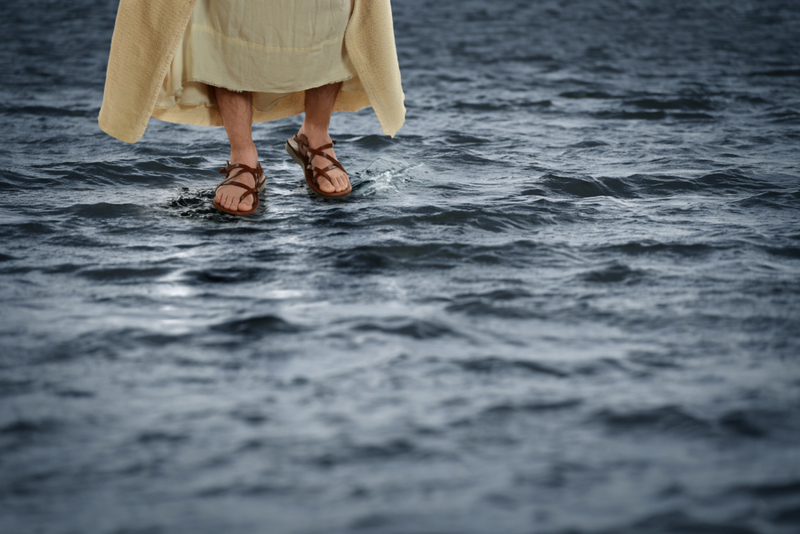 The Secret Behind Walking On Water | Gino Santa Maria/Shutterstock