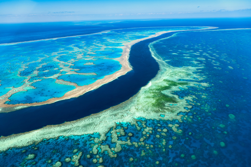 The Great Barrier Reef | marcobrivio.photography/Shutterstock