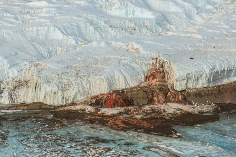 Red Ice | Alamy Stock Photo by Cavan Images/Alasdair Turner