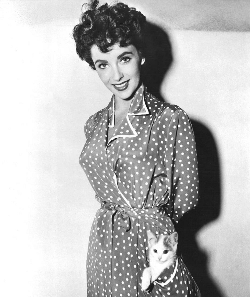 Elizabeth Taylor’s Kitty, 1953 | Alamy Stock Photo by Everett Collection Inc 
