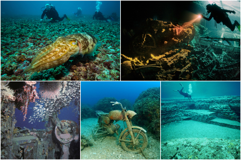 The Most Amazing Discoveries Under The Sea | Alamy Stock Photo by Sergii Mikushev & Aquascopic & M. Timothy O Keefe & Helmut Corneli & Newscom/BJ Warnick
