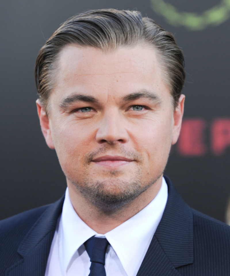 Leonardo DiCaprio Turned Down Many Superhero Roles | Alamy Stock Photo