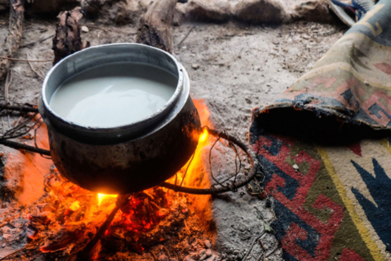 Milk of Persia | Shutterstock