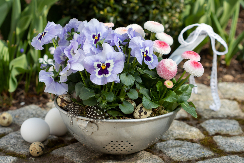 Try a Colander Planter | Shutterstock