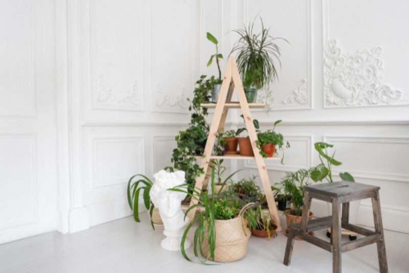 This DIY Stand for Plants | Shutterstock