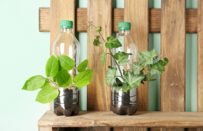 Use Plastic Bottles to Keep Plants Hydrated | Shutterstock