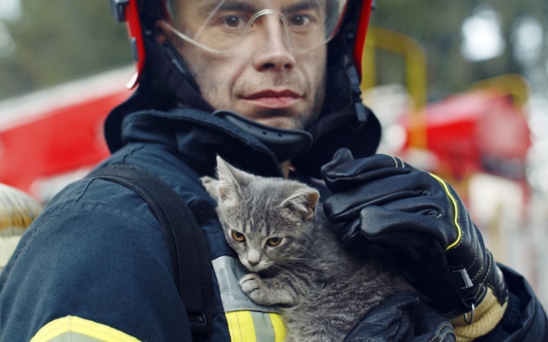 Saved Kitty | VAKS-Stock Agency/Shutterstock