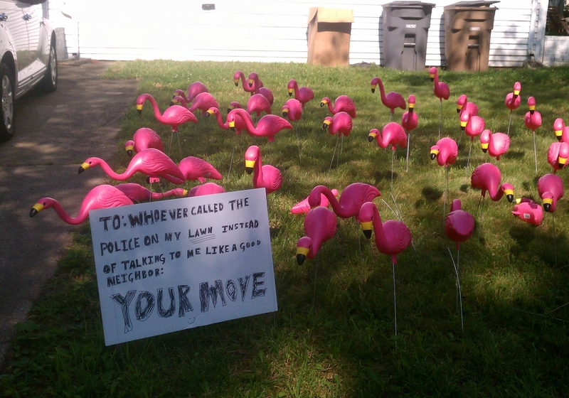 Pink Flamingo Attack | Imgur.com/obVMq