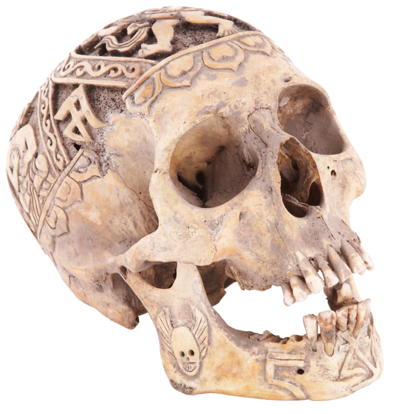 A Mysterious Tibetan Skull | Getty Images Photo by rigolotte