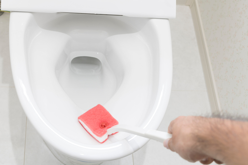 Keep the Toilet Bowl White and Bright | Shutterstock