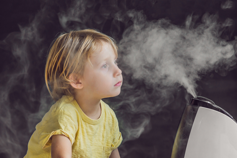 Clean Your Humidifier | Shutterstock