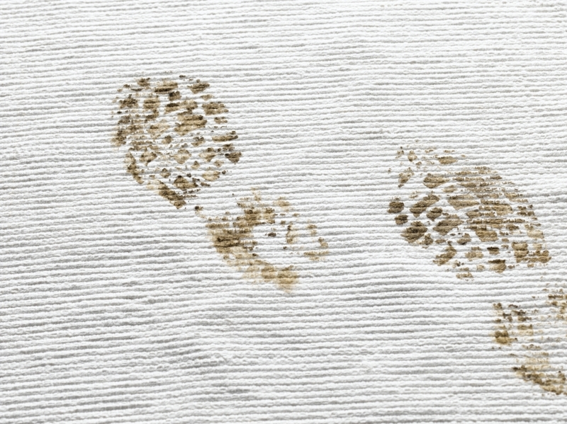 Remove Carpet Stains | Getty Images Photo by Alex Hayden