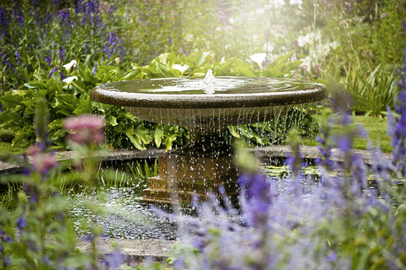 Make Your Pond Water Look Perfect | Getty Images Photo by Jacky Parker Photography