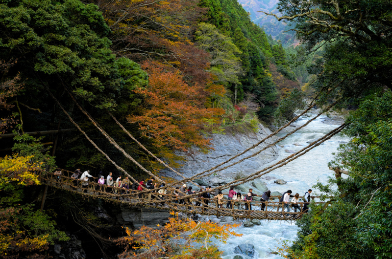 Iya Kazurabashi Bridge – Japan | Alamy Stock Photo by CulturalEyes-AusGS2