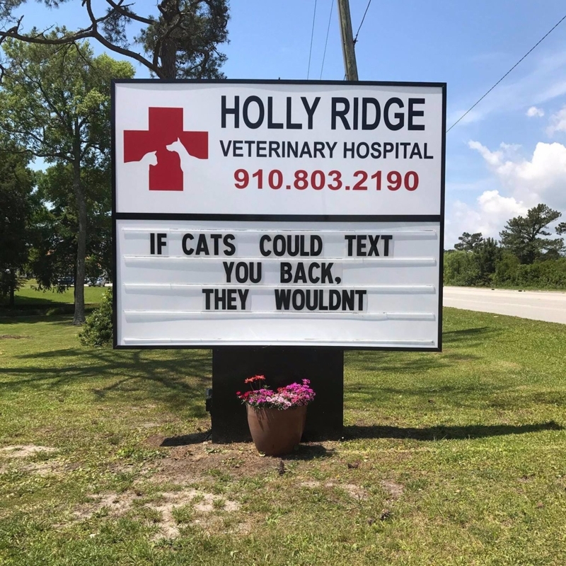 They Totally Wouldn't | Facebook/@HollyRidgeVet