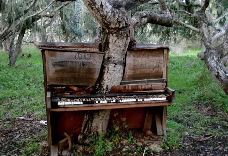 This Abandoned Piano | Reddit.com/Mind_Virus