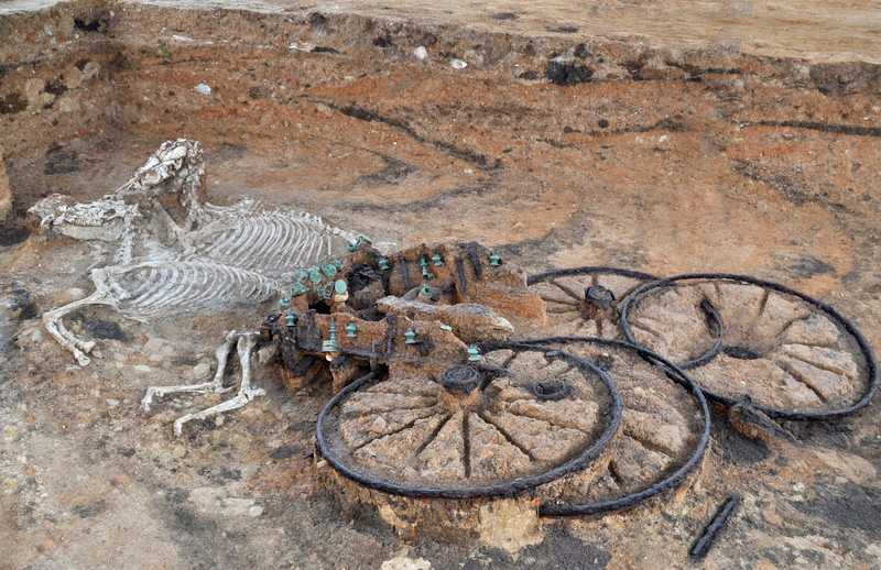 These Horses and Their Carriage, Which Belonged to the Thracians | Alamy Stock Photo by Elitsa Lambova 