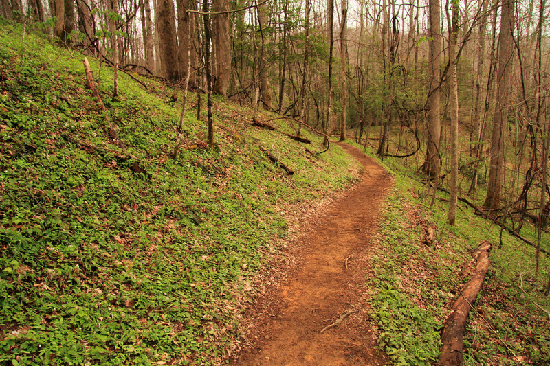 Appalachian Trail, Tennessee | Alamy Stock Photo