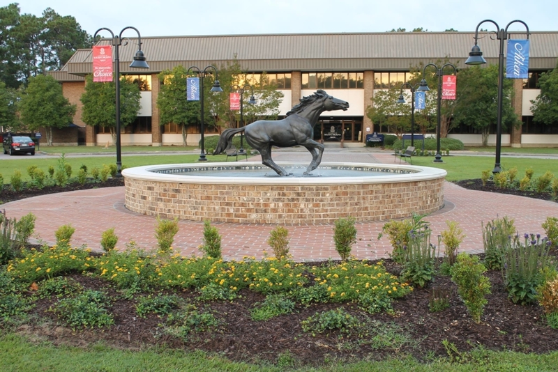 The University of South Carolina at Aiken | Facebook@/uscaiken