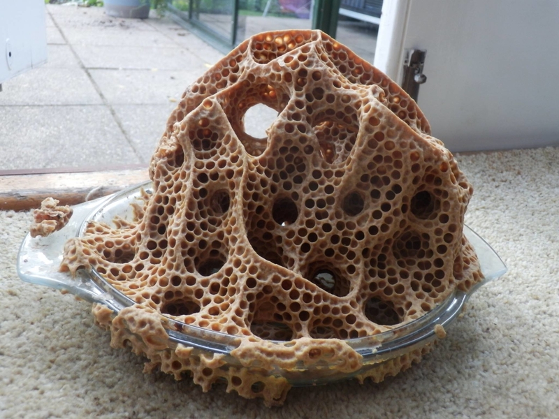 Stop Leaving Bowls Outside | Imgur.com/Crabcaked