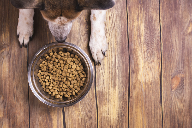 Pet Food | Ekaterina Markelova/Shutterstock