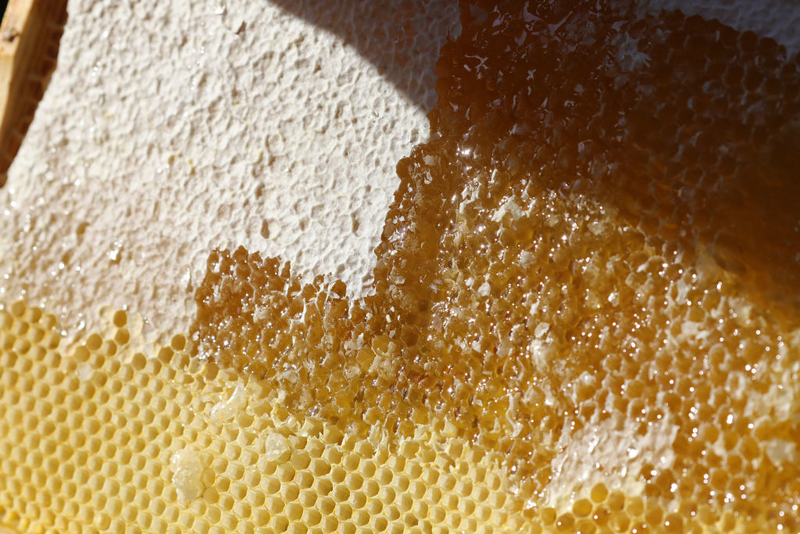 Do Not Put Honey In the Refrigerator You Will Regret It | Getty Images Photo by Wolfgang Kumm/picture alliance