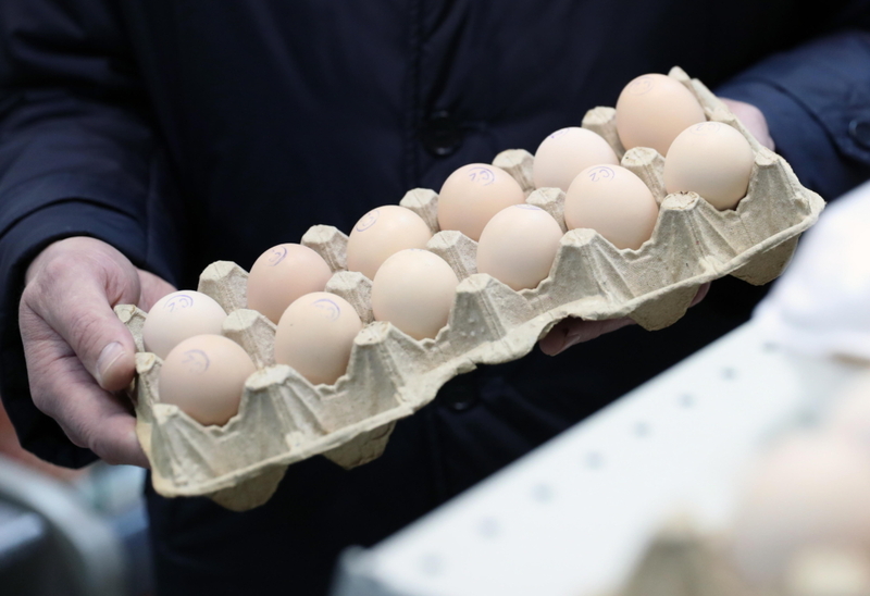 What About Eggs? | Alamy Stock Photo by ITAR-TASS News Agency