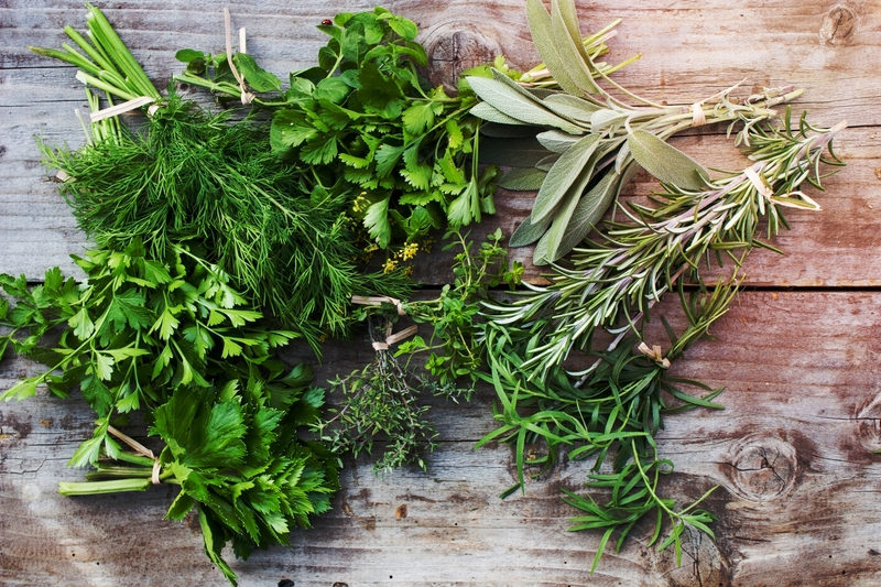 Fresh Herbs | rigoriutaina/Shutterstock