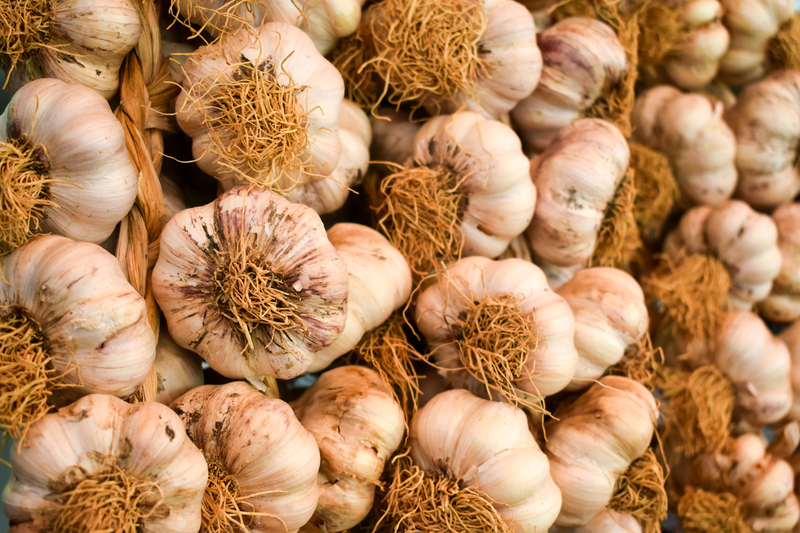 Tips For Storing Garlic | Alamy Stock Photo by Kuzmalo 