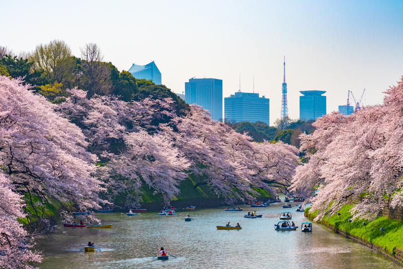 Tokyo, Japan | Shutterstock