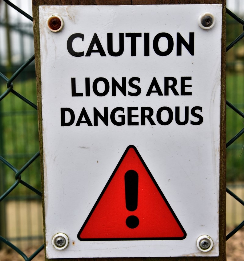 We Ain't Lion | Alamy Stock Photo