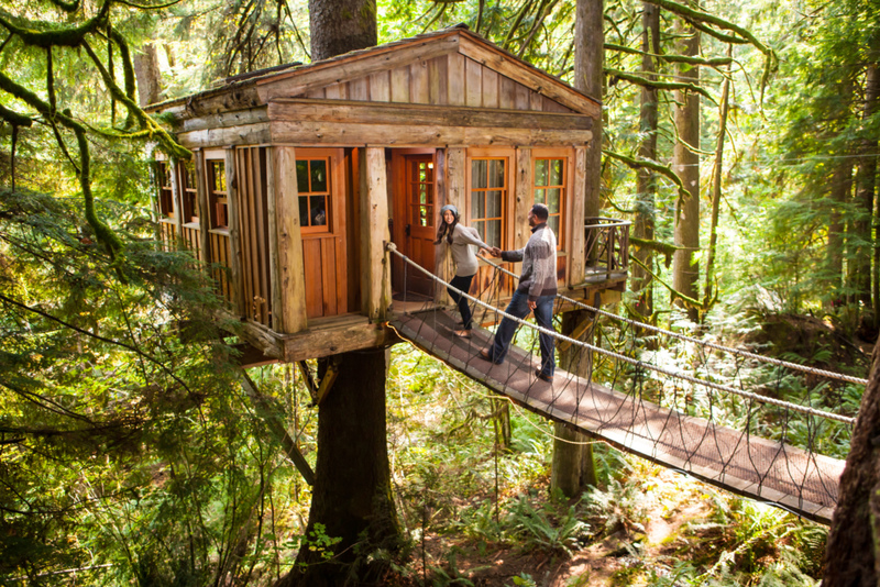Tree-House For Grown-Ups | Alamy Stock Photo by Adam Crowley/Tetra Images